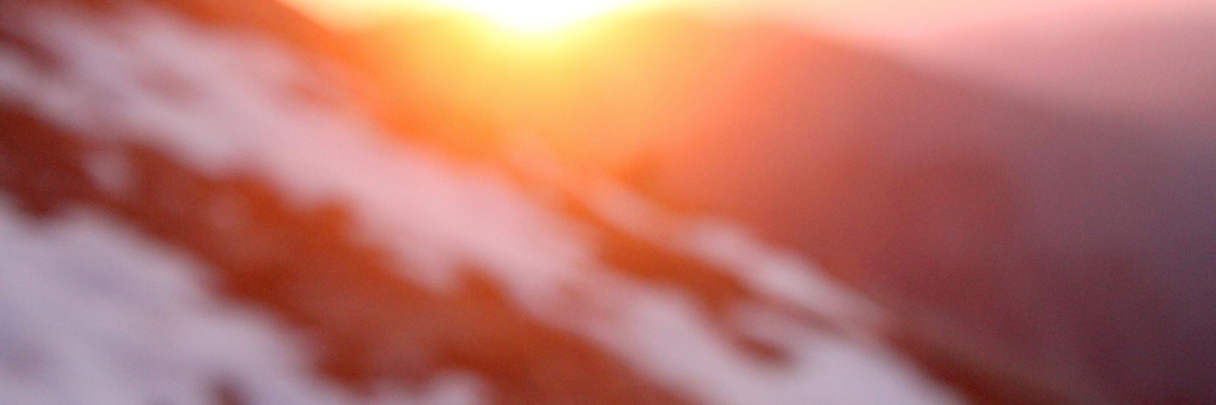 Shilpika Chowdhury banner