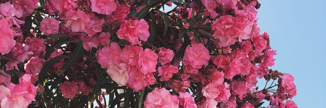 georgiaebell's profile banner image