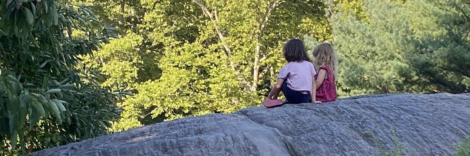 Plana Radenovic banner