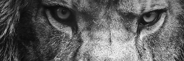 shamusss88's profile banner image