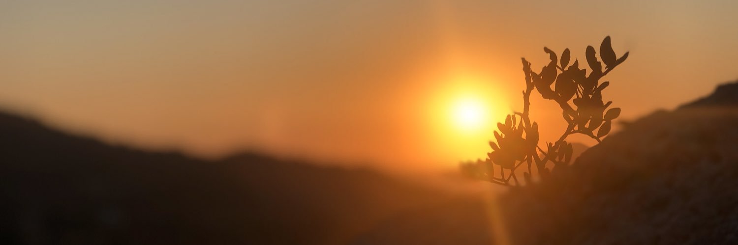 emrhdgr's profile banner image