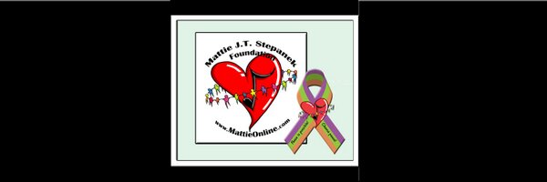 jenistepanek Profile Banner