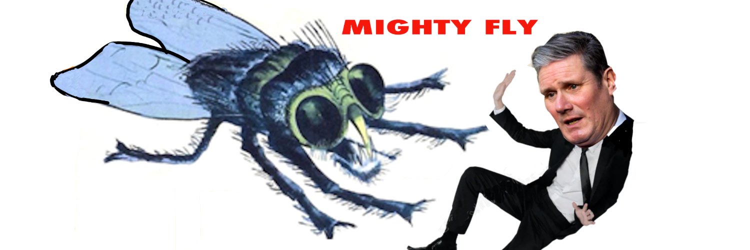 Mighty_Fly_'s profile banner image