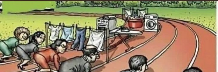 Silvana Albanese banner