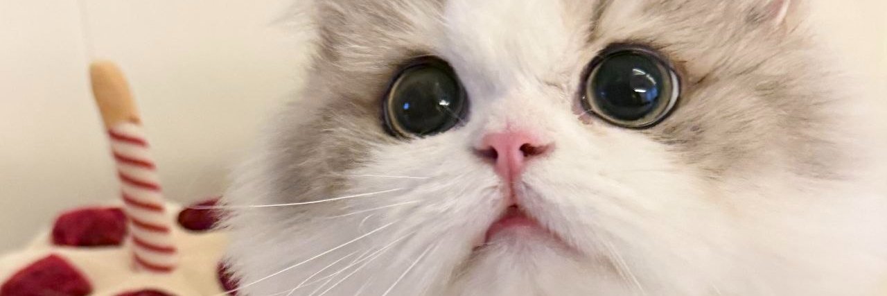 annnmac's profile banner image