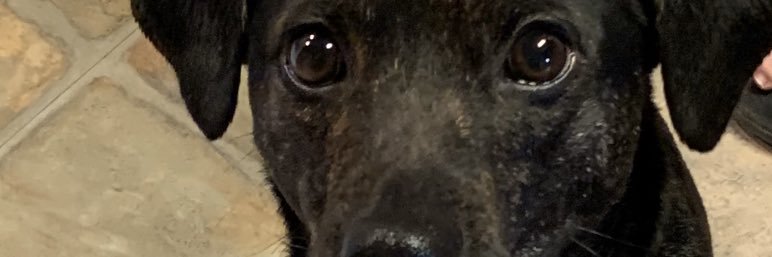 nickcheatham1's profile banner image
