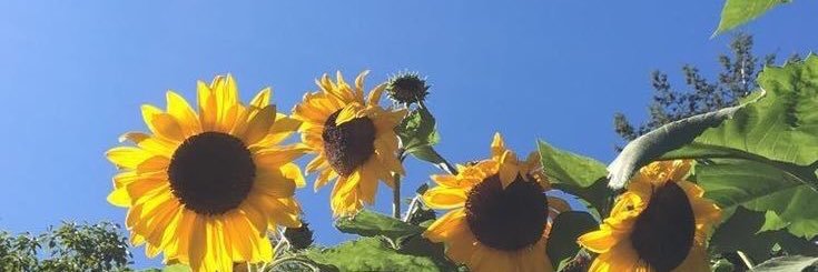 __7147's profile banner image