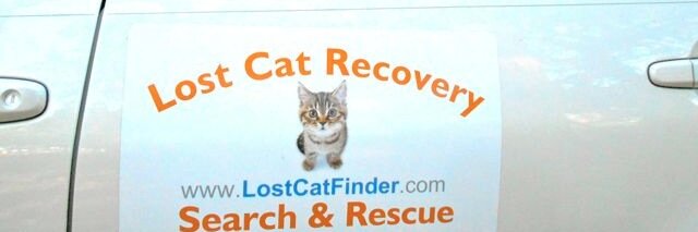 LostCatFinder's profile banner image