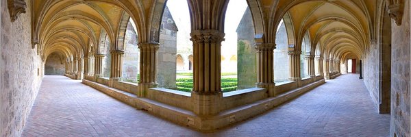 SoeurFoune Profile Banner