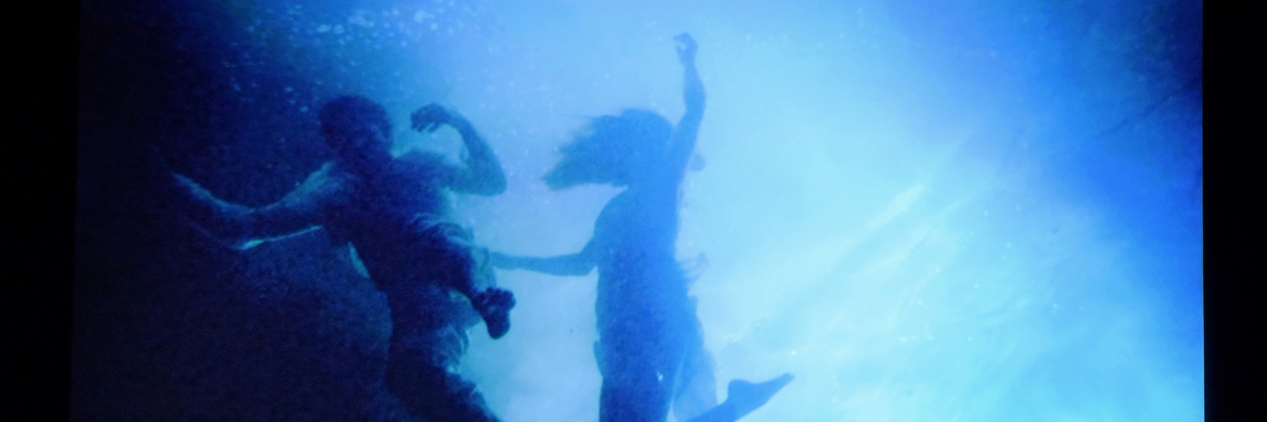 charlesarden's profile banner image
