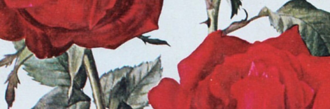 mandypher's profile banner image