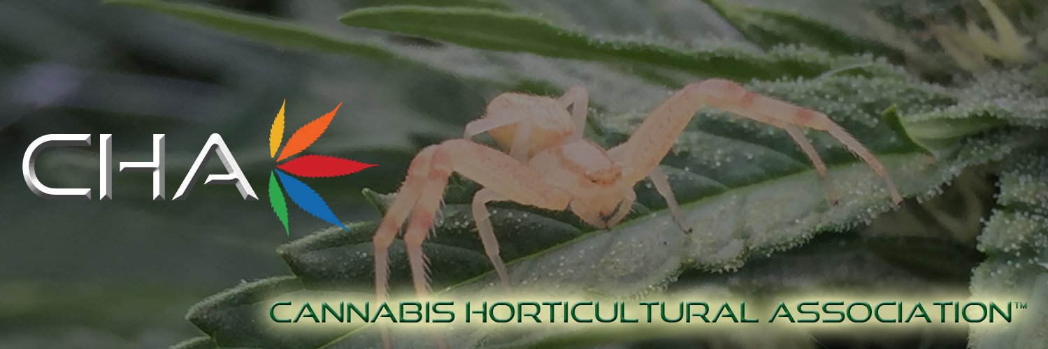 Cannabis Hort. Assoc banner