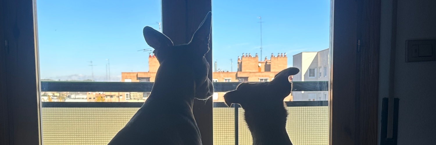 Bertasvt's profile banner image