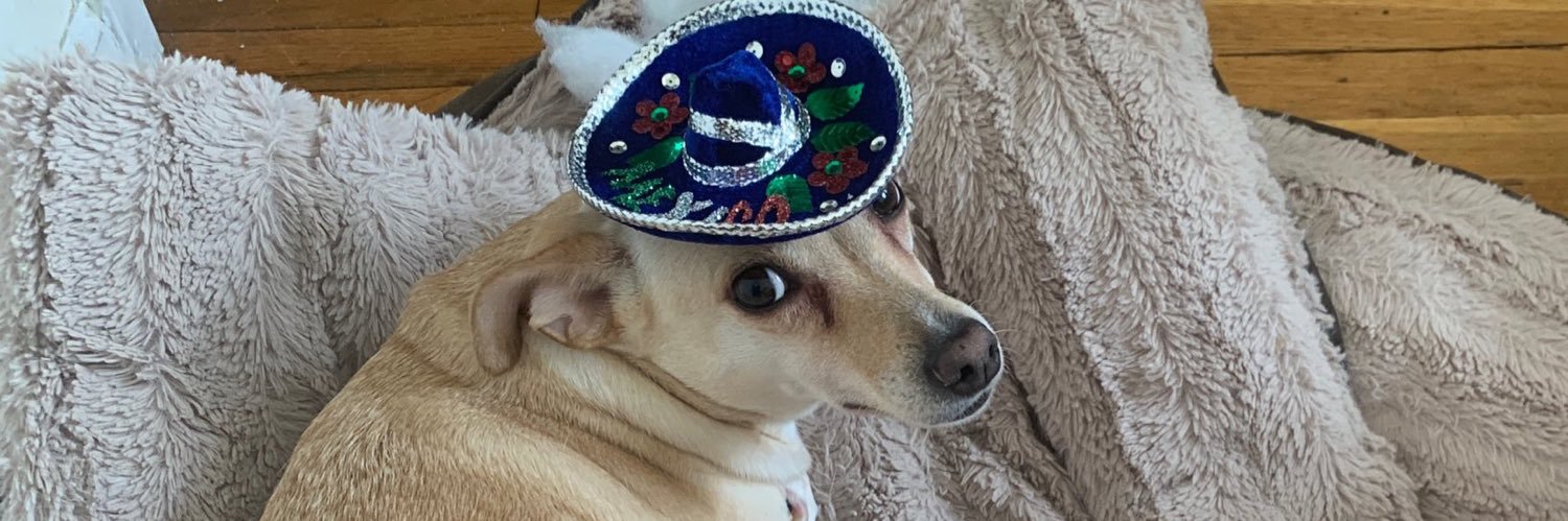 thekidnamednova's profile banner image