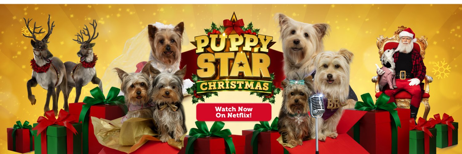 Pup Star on Twitter "Yo asaprocky, we’ve got pups ready to lay down a