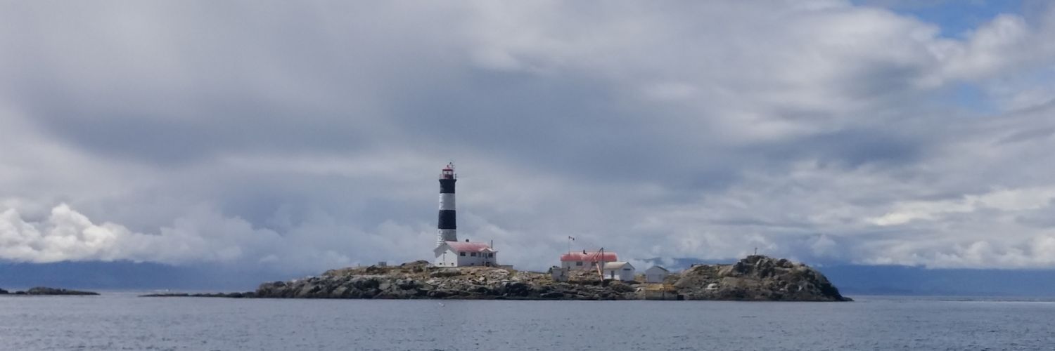 tjmacalli3's profile banner image