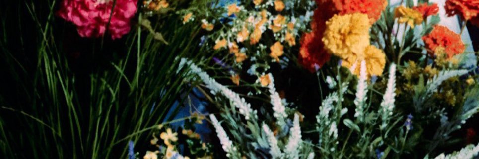 Lilie 🖤 banner