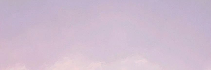 alynaftodorovic's profile banner image