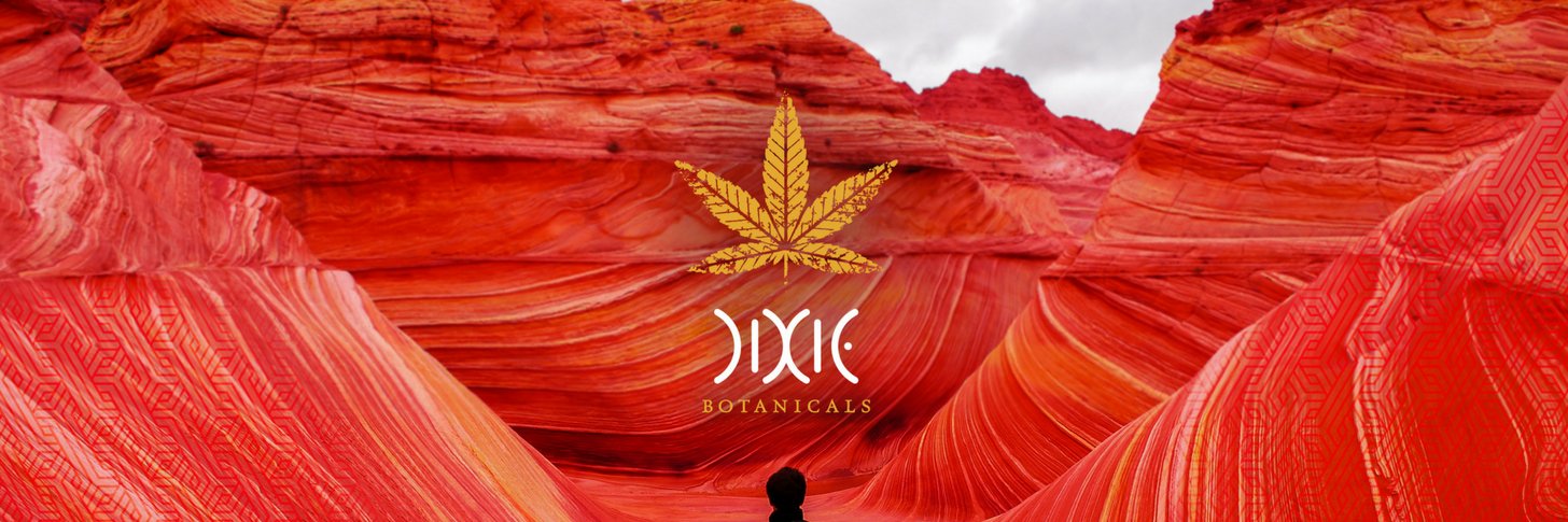 dixiebotanicals's profile banner image