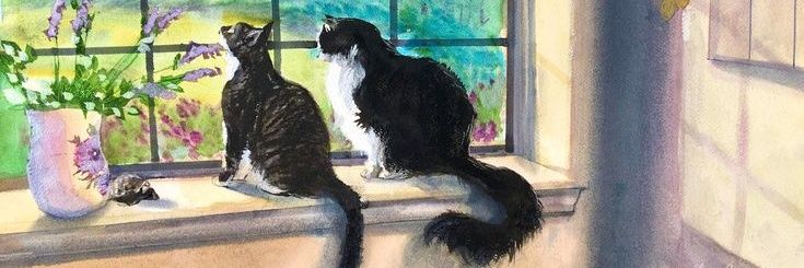 Unusualcxt's profile banner image