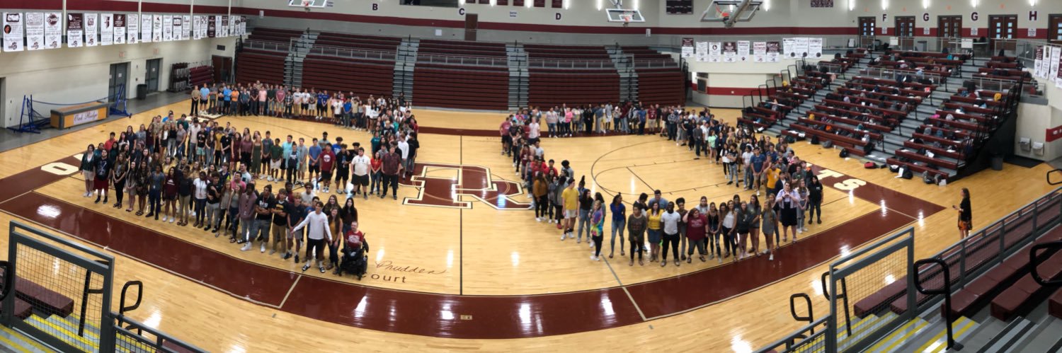 Ms T, ORHS AP banner