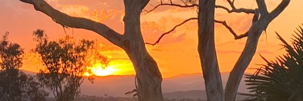 VickiTreadell Profile Banner