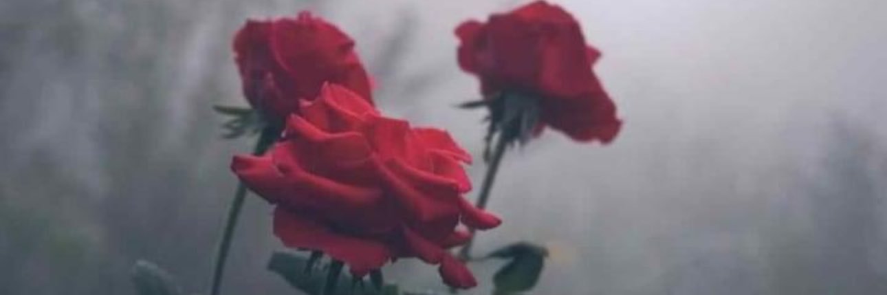 lexy42806's profile banner image