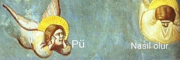 ayseluzka's profile banner image