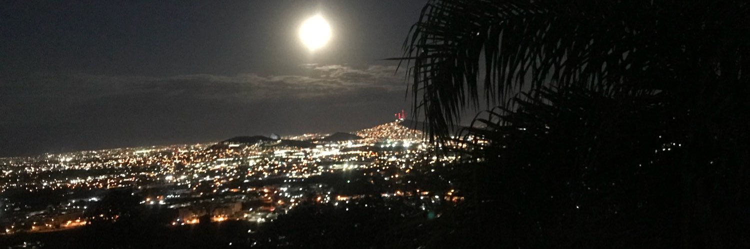 martha paulina banner