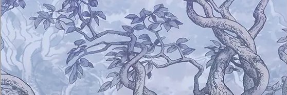 wren⁷🪽 banner