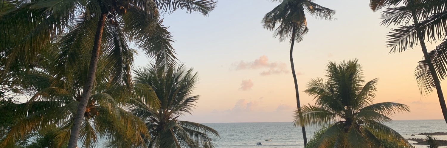 bohnf's profile banner image