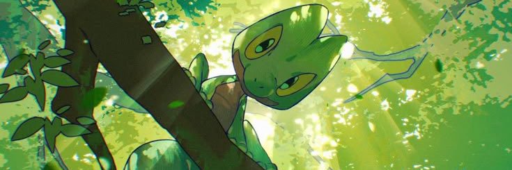 treeckozoid's profile banner image