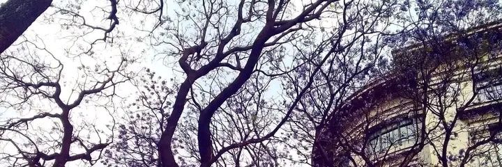 ram_ale_'s profile banner image