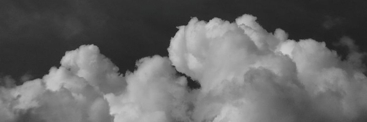 lexy_rosee's profile banner image