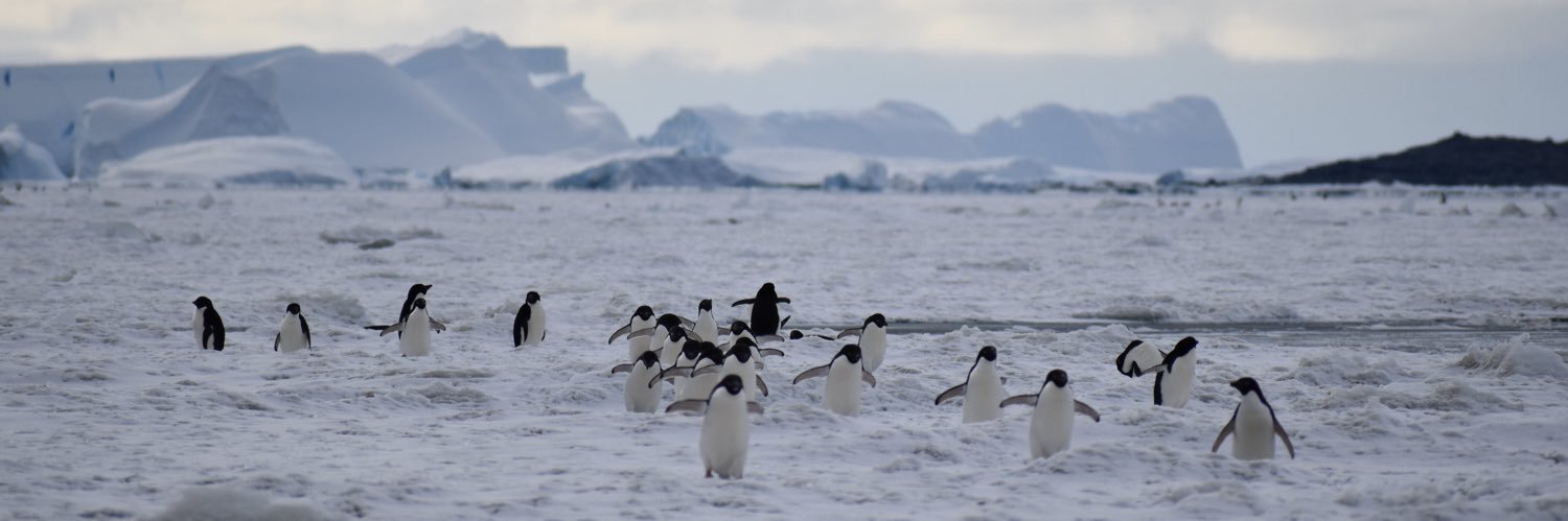 Shuai Yan 闫帅 banner