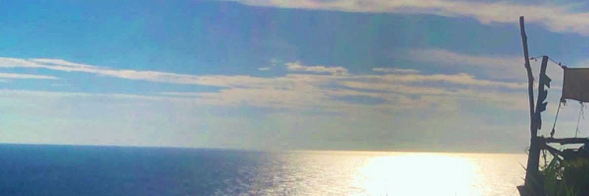 guevsp's profile banner image