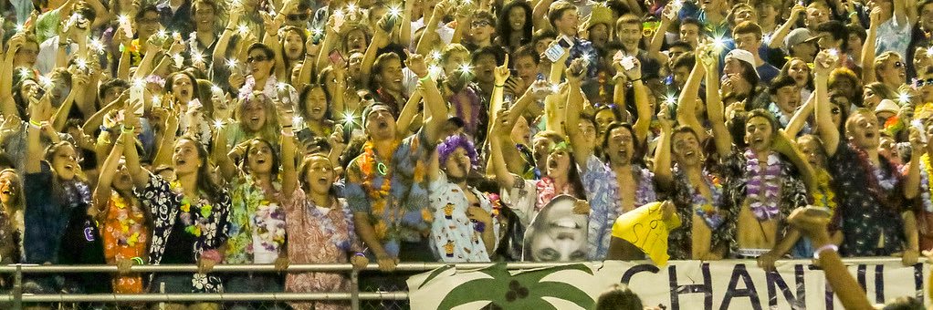 The Den banner