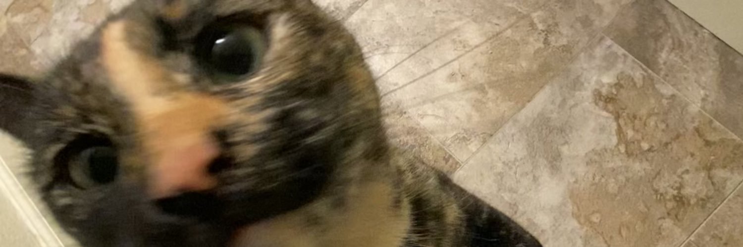 bluefannypack's profile banner image
