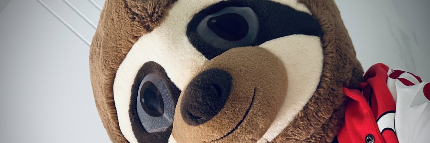 Slothnuggets banner