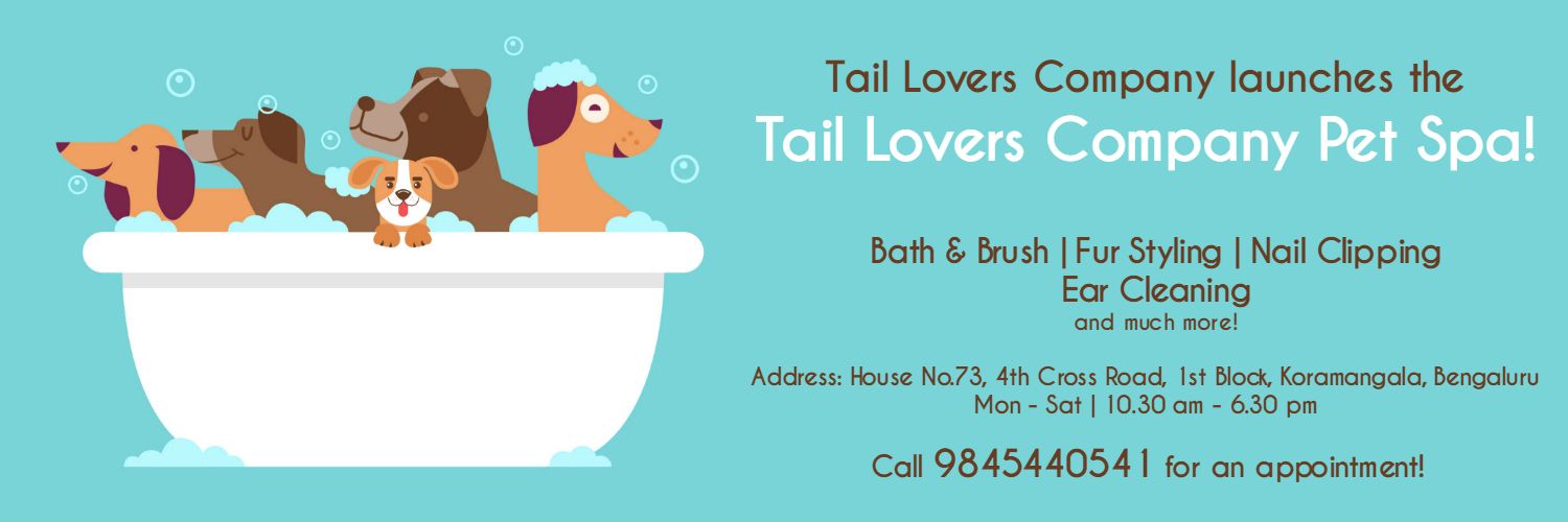 tailloversco's profile banner image