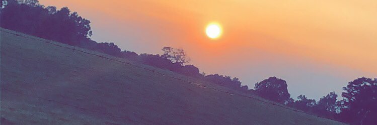 Hurricane_Hayli's profile banner image