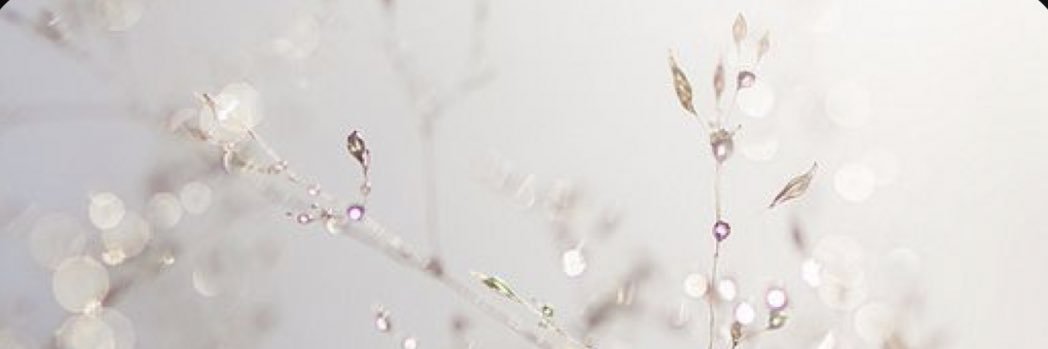 __Aisha31's profile banner image