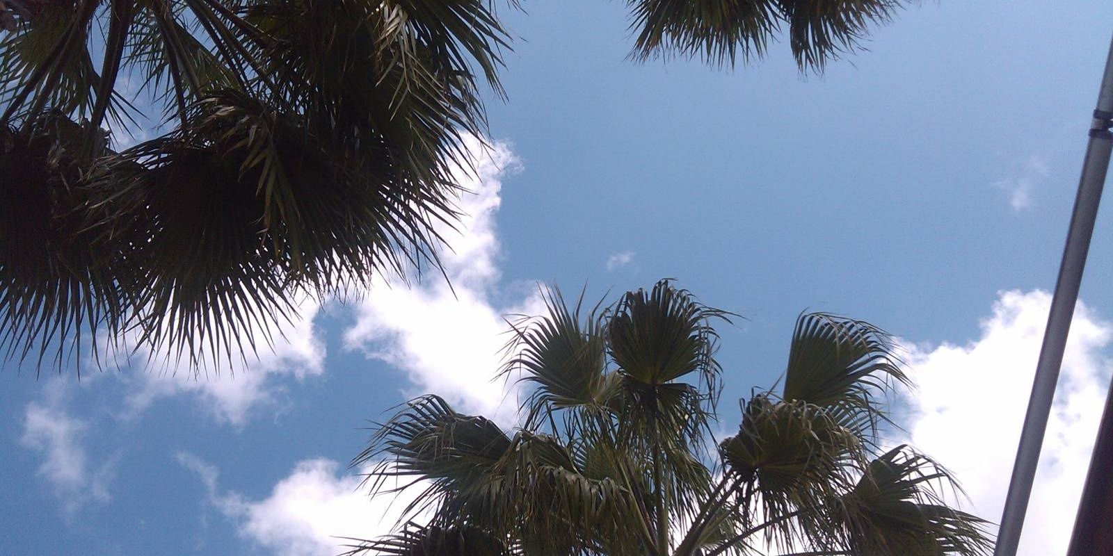TomLaurin72's profile banner image