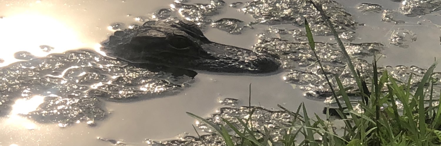 shauntopolis's profile banner image