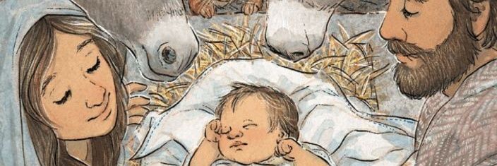 quelfernanda's profile banner image