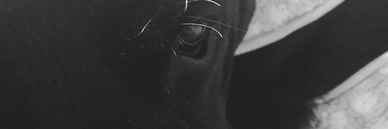 bkd009's profile banner image