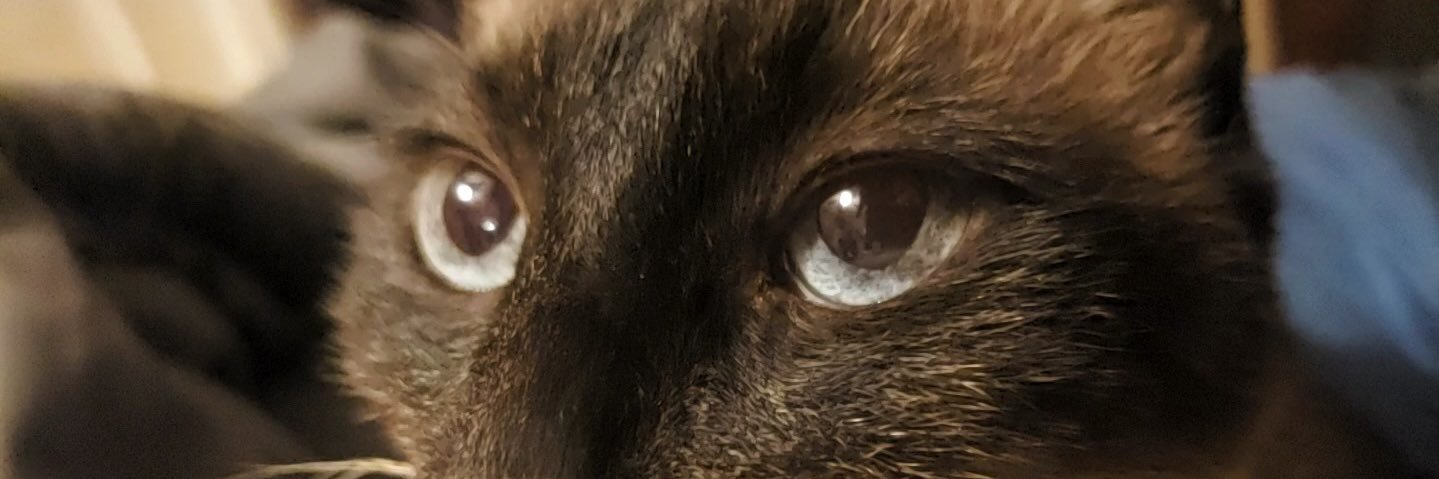 DeeLila8's profile banner image