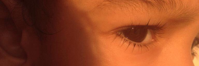 beatriz banner