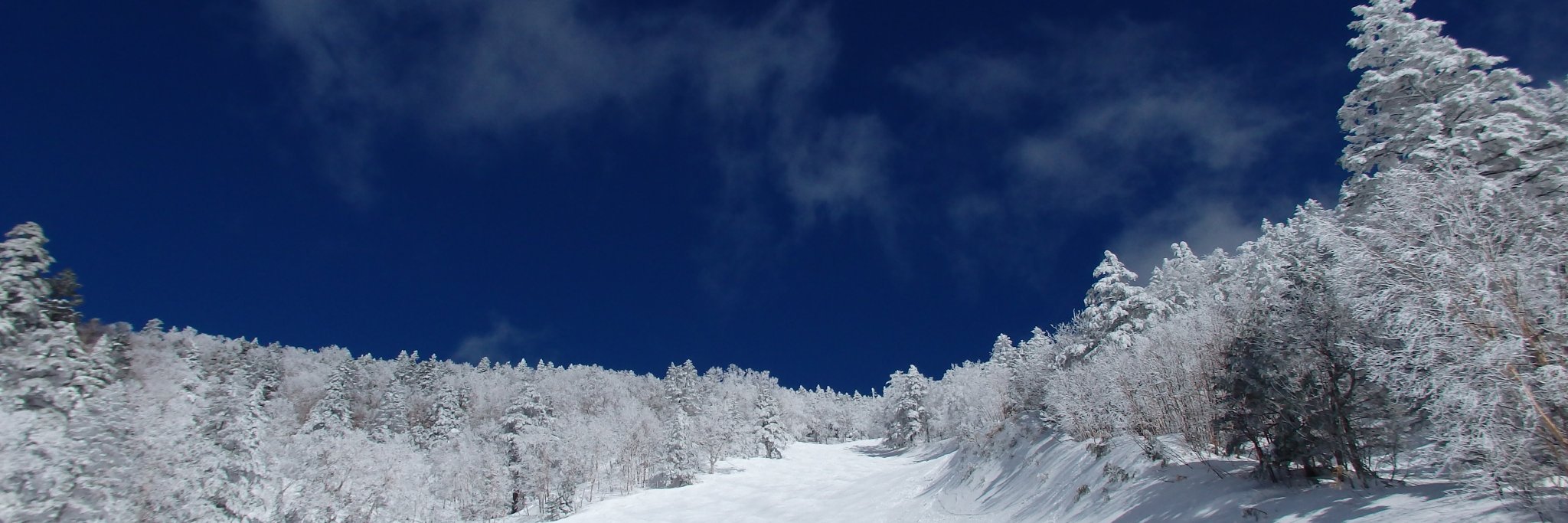 非労働英雄 banner