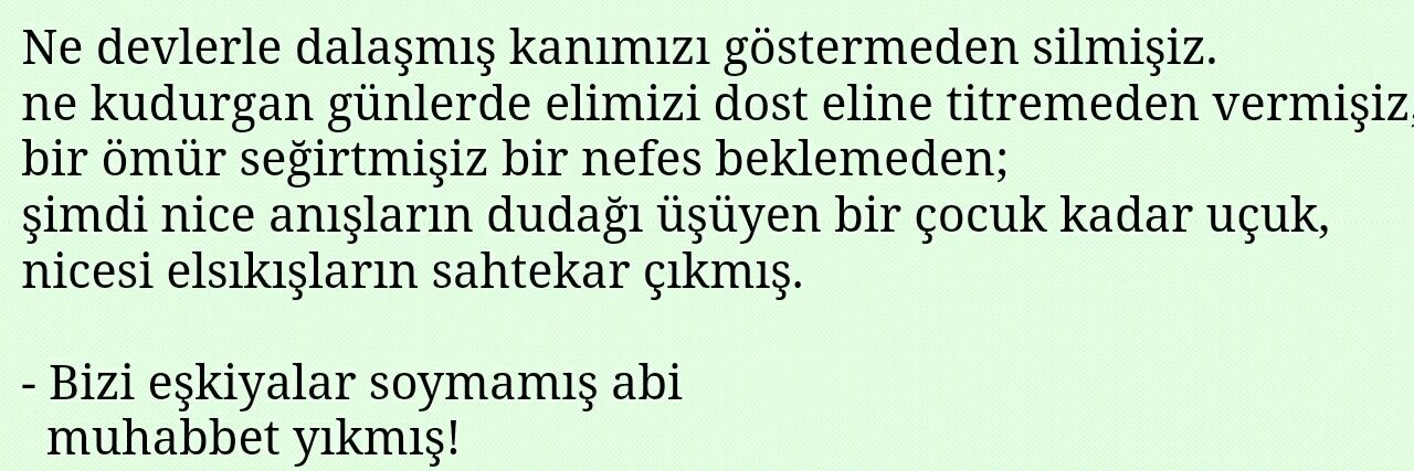 Ş. banner